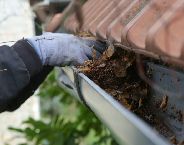 Gutters, Fascia & Soffits Cleaning Leicester